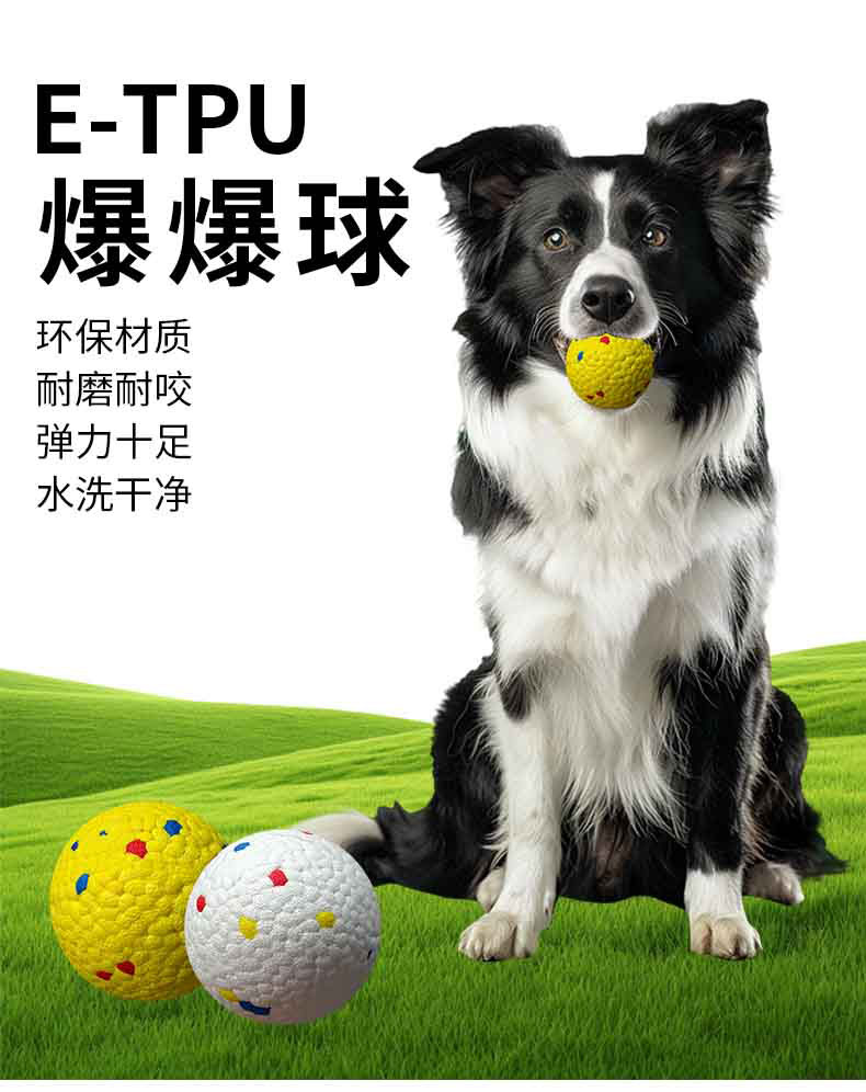 1765446244489901.jpg 實(shí)心寵物球_01.jpg