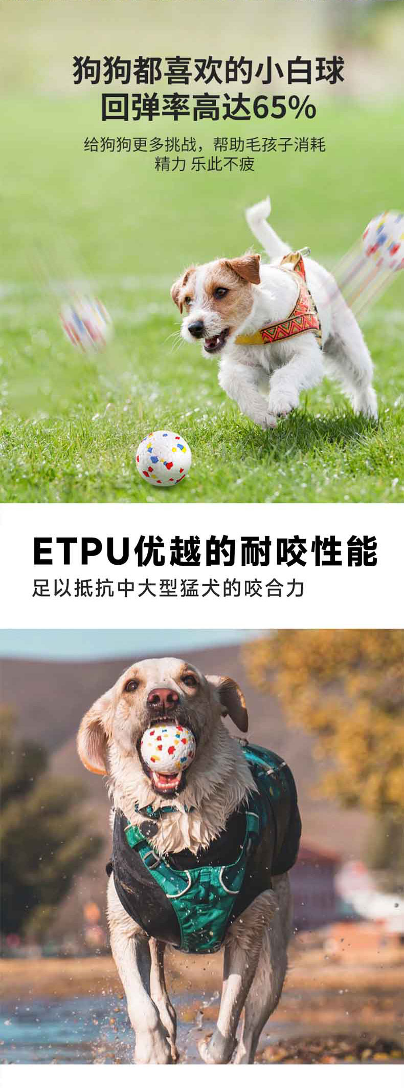 1765446263616152.jpg 實(shí)心寵物球_05.jpg